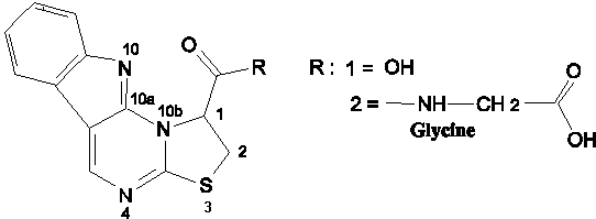 molecule