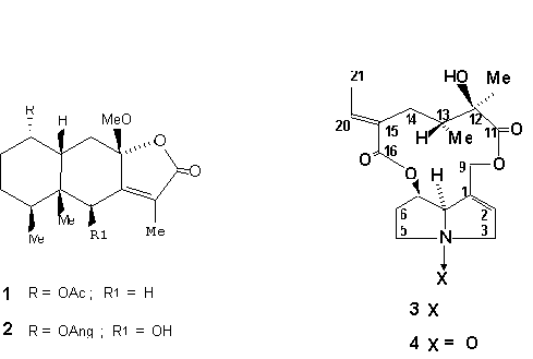 molecules